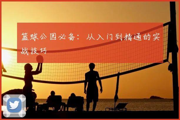 篮球公园必备：从入门到精通的实战技巧