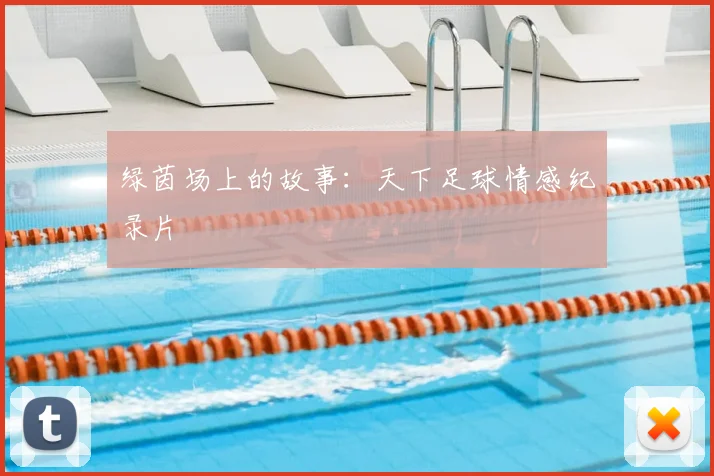 绿茵场上的故事：天下足球情感纪录片