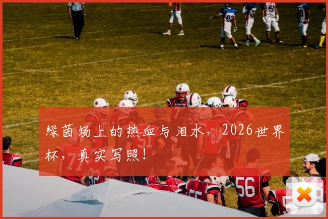 绿茵场上的热血与泪水,2026世界杯,真实写照!
