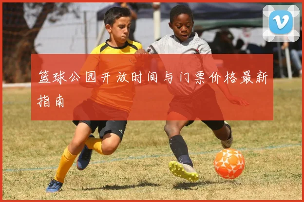 篮球公园开放时间与门票价格最新指南