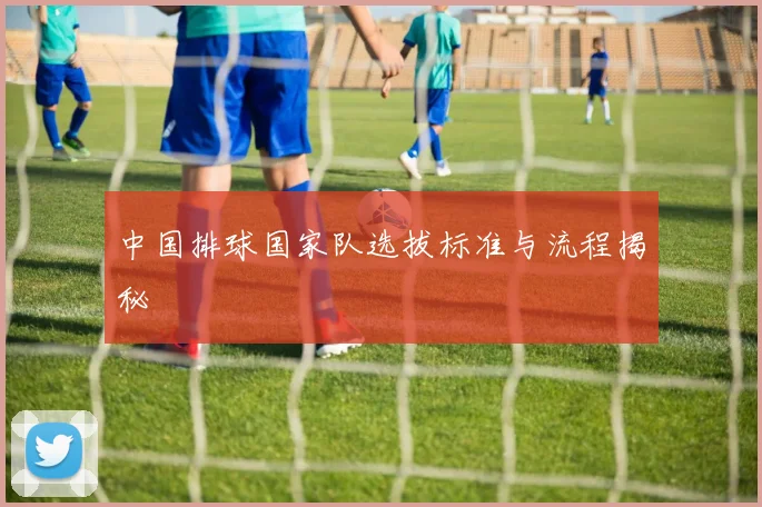 中国排球国家队选拔标准与流程揭秘